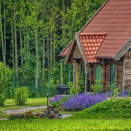 Villa Zielone Lawki Ryn  Exterior foto