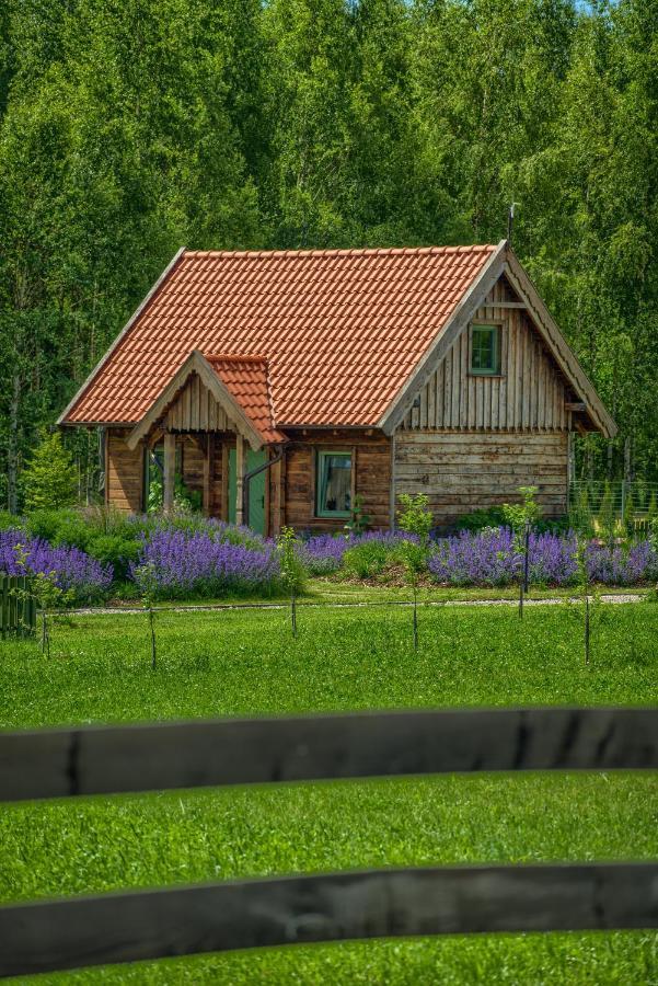 Villa Zielone Lawki Ryn  Exterior foto